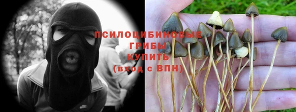 ECSTASY Белокуриха