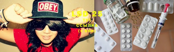 ECSTASY Белокуриха