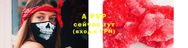 ECSTASY Белокуриха