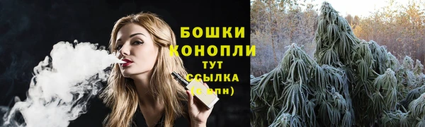 ECSTASY Белокуриха